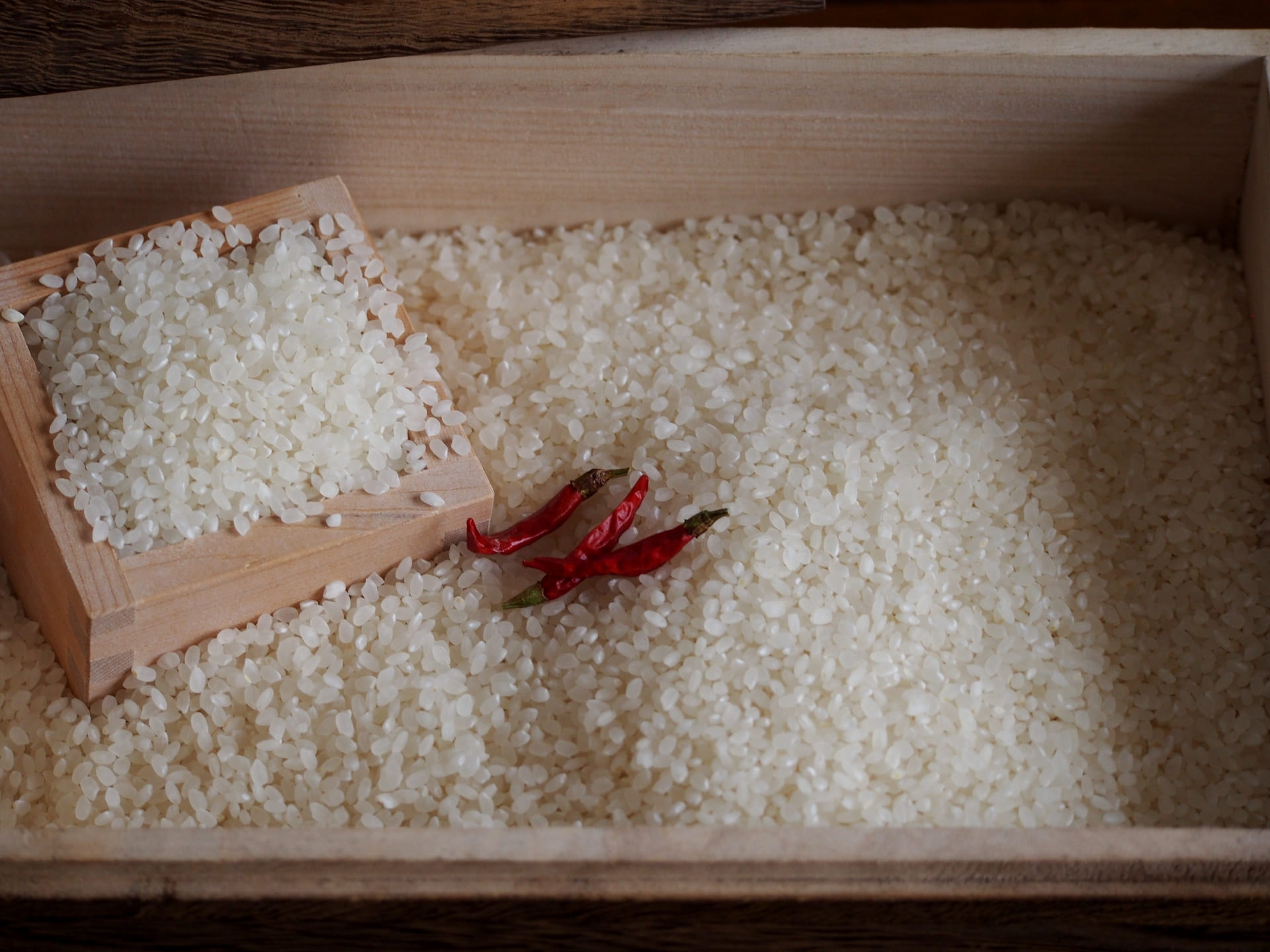 お米を常温保存するときに役立つアイテム