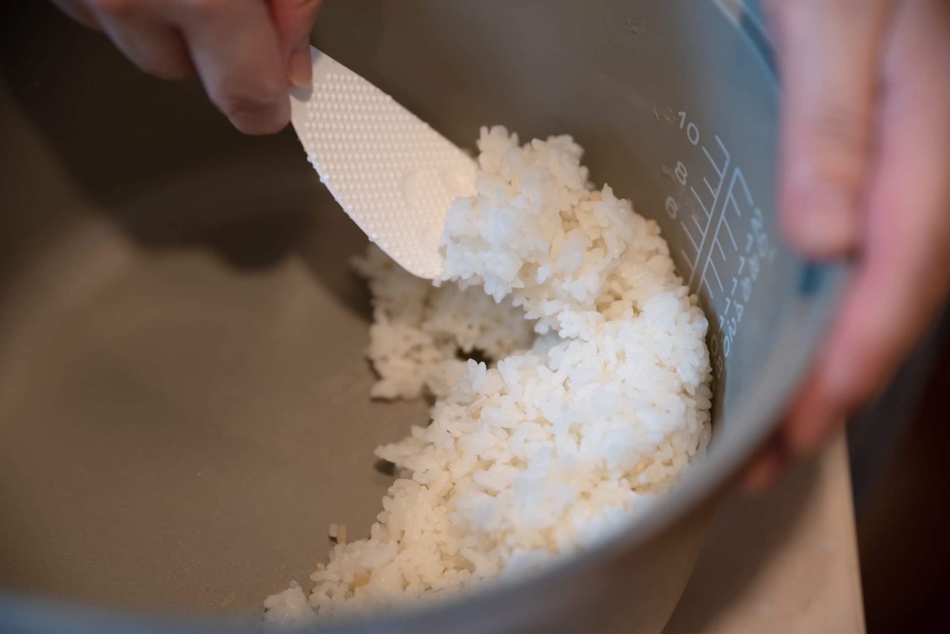 ご飯を常温で一晩放置！安全に食べられる目安や見分け方法 | こめむすひ（こめむすび）